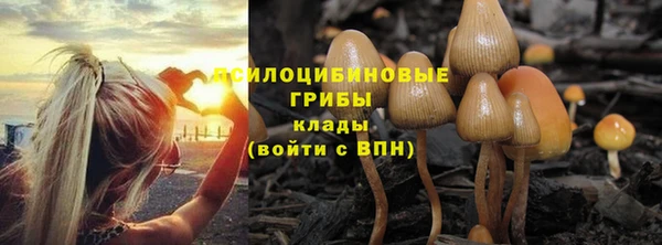 сатива Няндома