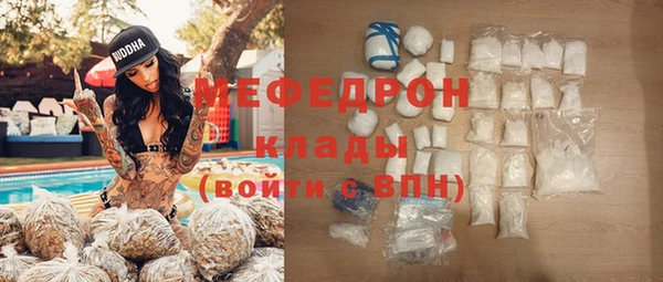 сатива Няндома