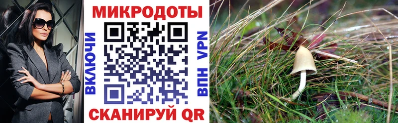 Галлюциногенные грибы прущие грибы  Новосибирск 
