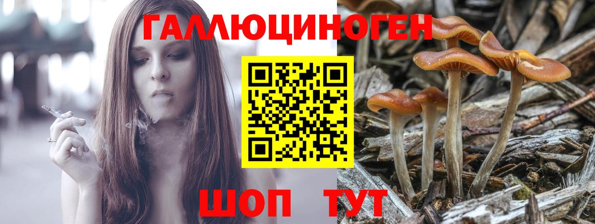 Псилоцибиновые грибы MAGIC MUSHROOMS Новосибирск